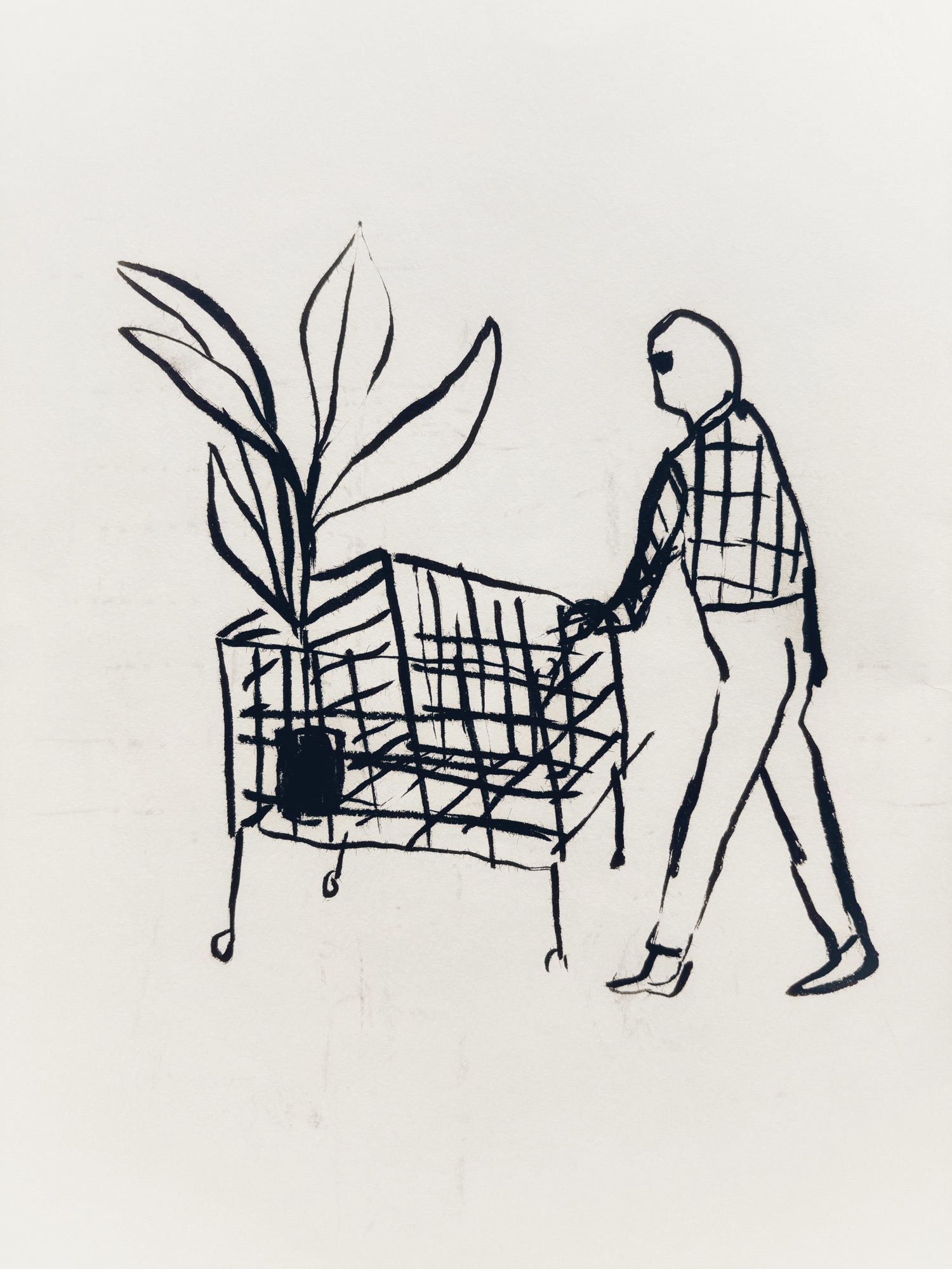 Plant buyer